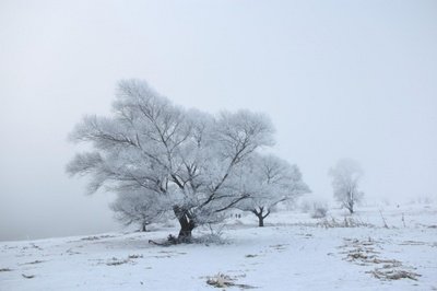 霜降有多冷 霜降会冷吗 霜降会下雪吗