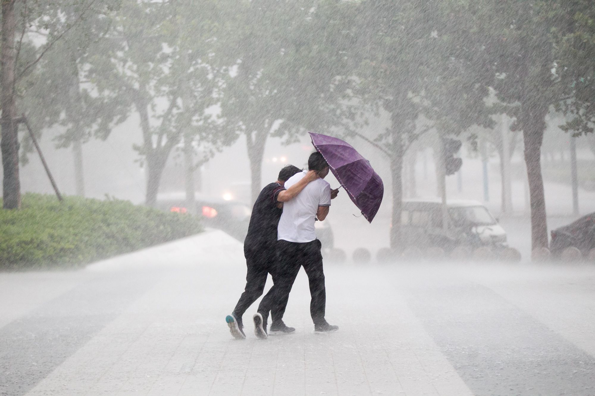 暴雨自救指南 暴雨来临前如何采取防范措施