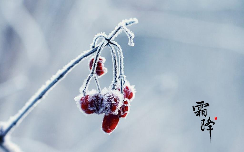 霜降有什么特点 霜降节气的禁忌和讲究