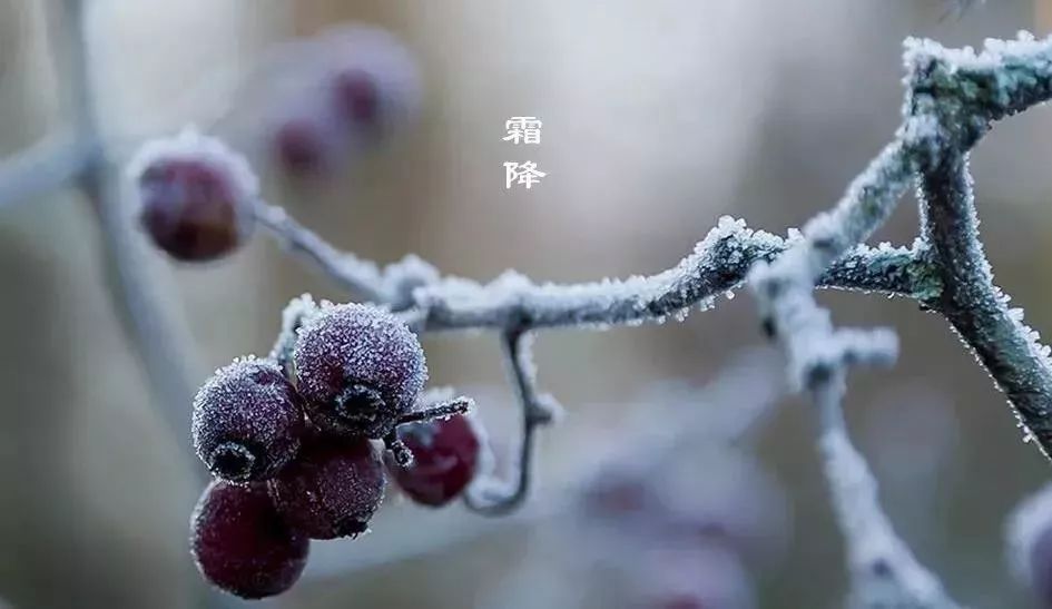 霜降是冬天还是秋天 霜降是什么季节的节气