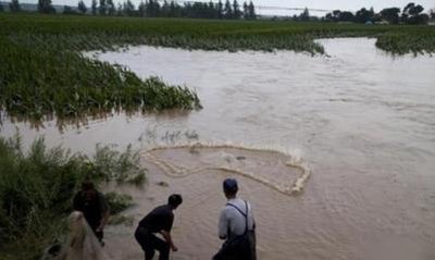 涨洪水钓鱼技巧 涨洪水钓鱼要打窝吗