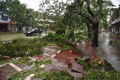 台风一年四季都有发生吗 台风经常发生在什么季节