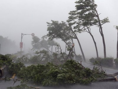 刮台风一定会下雨吗 刮台风都会下雨吗