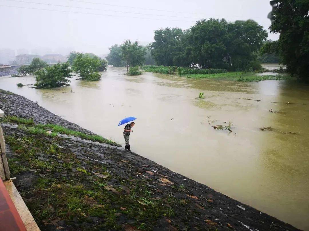 河南今明天仍有强降雨 河南强降雨已致73人遇难