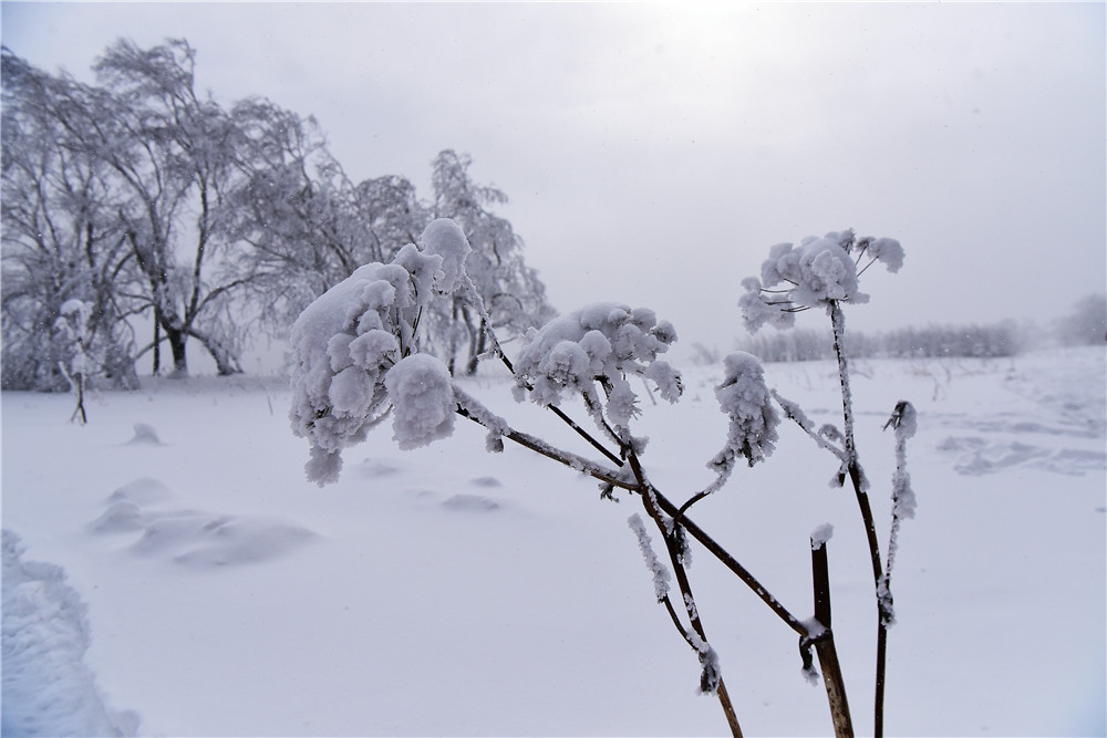 大雪有什么讲究 大雪节气注意事项 大雪节气的禁忌