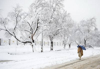 大雪是几月几号2021年 2021年大雪节气是哪一天