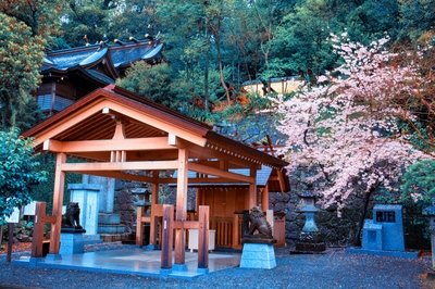 日本东京神社有哪些 日本神社是干嘛用的