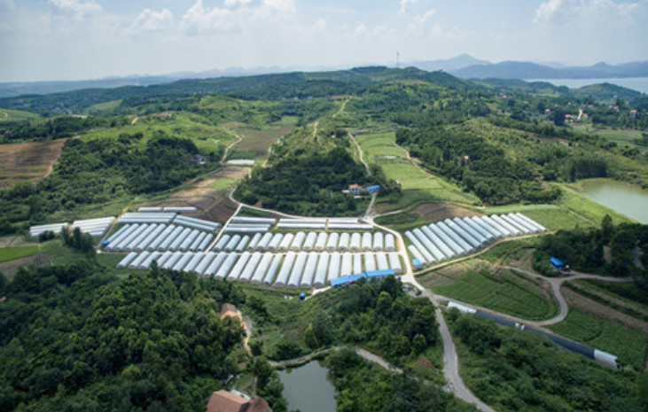 农村宅基地继承权怎么继承 农村宅基地的继承权的相关规定 农村宅基地继承有哪些注意事项