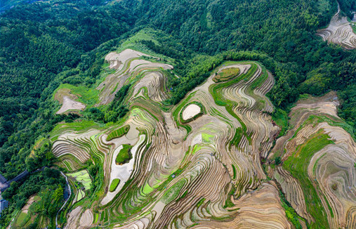 2021年农村宅基地建房的最新政策 哪些宅基地不能确权 农村宅基地什么情况下不能确权