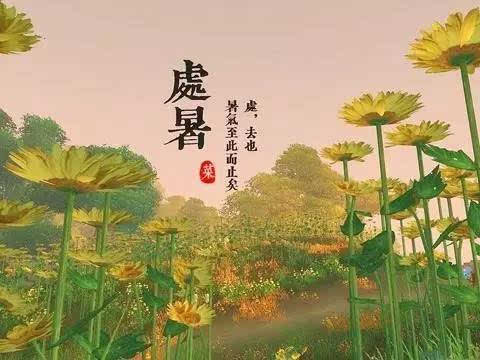 处暑节气前后的民俗 处暑节气的风俗是什么