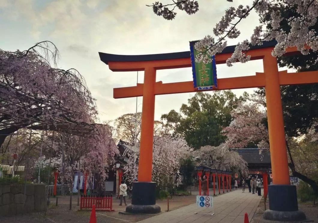 靖国神社接待中国人吗 中国人去靖国神社犯法吗