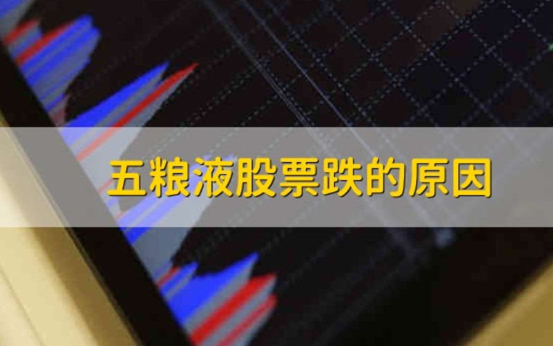 五粮液股票还能买吗2021 五粮液股票跌的原因 五粮液股票为什么天天跌