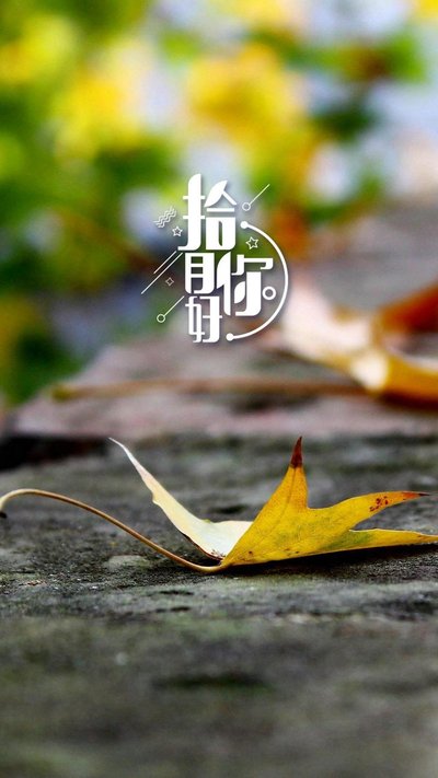 10月第一天发朋友圈的句子 10月第一天怎么发朋友圈 10月第一天怎么发说说