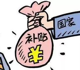 2021政府补贴项目有哪些 2021年国家扶持的小型项目