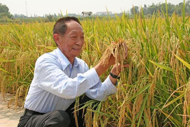 袁隆平差点进入游泳国家队 袁隆平 武汉市游泳第一名