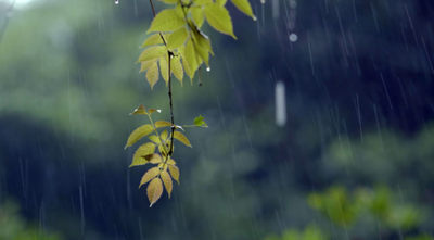 中秋节下雨意味着什么 中秋节下雨有什么说法 中秋节下雨好不好