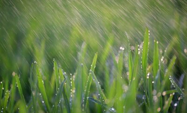 中秋下雨代表什么 中秋下雨有什么说法