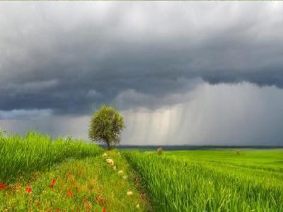 中秋节容易下雨吗 中秋节一般会下雨吗 中秋节下雨的概率大吗