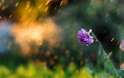 中秋节容易下雨吗 中秋节一般会下雨吗 中秋节下雨的概率大吗