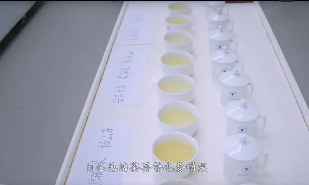 茶艺大师是怎样炼成的 茶学需要学哪些知识