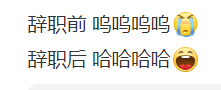 同事离职前后的朋友圈对比 离职前后怎么发朋友圈呢 辞职朋友圈文案