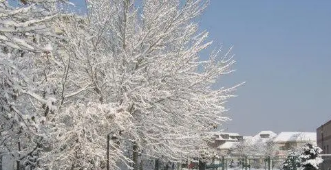 下雪朋友圈文案 下雪天怎样拍出好看的照片