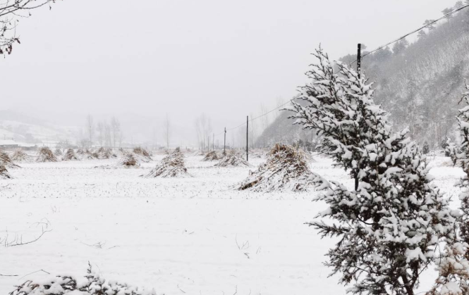 河南这场降雪将连下7天 河南省发布暴雪黄色预警