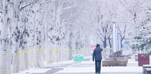 和对象看雪有什么寓意 和对象看初雪代表着什么寓意