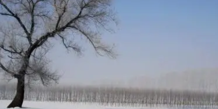 南京的大雪可能不再是一骗一骗 江苏大雪遇上虎年开工第一天