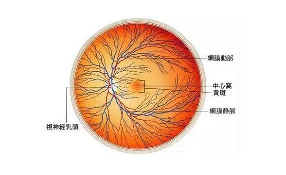 女足球员患疾病面临摘除眼球 女足球员患眼疾3小时获捐50万