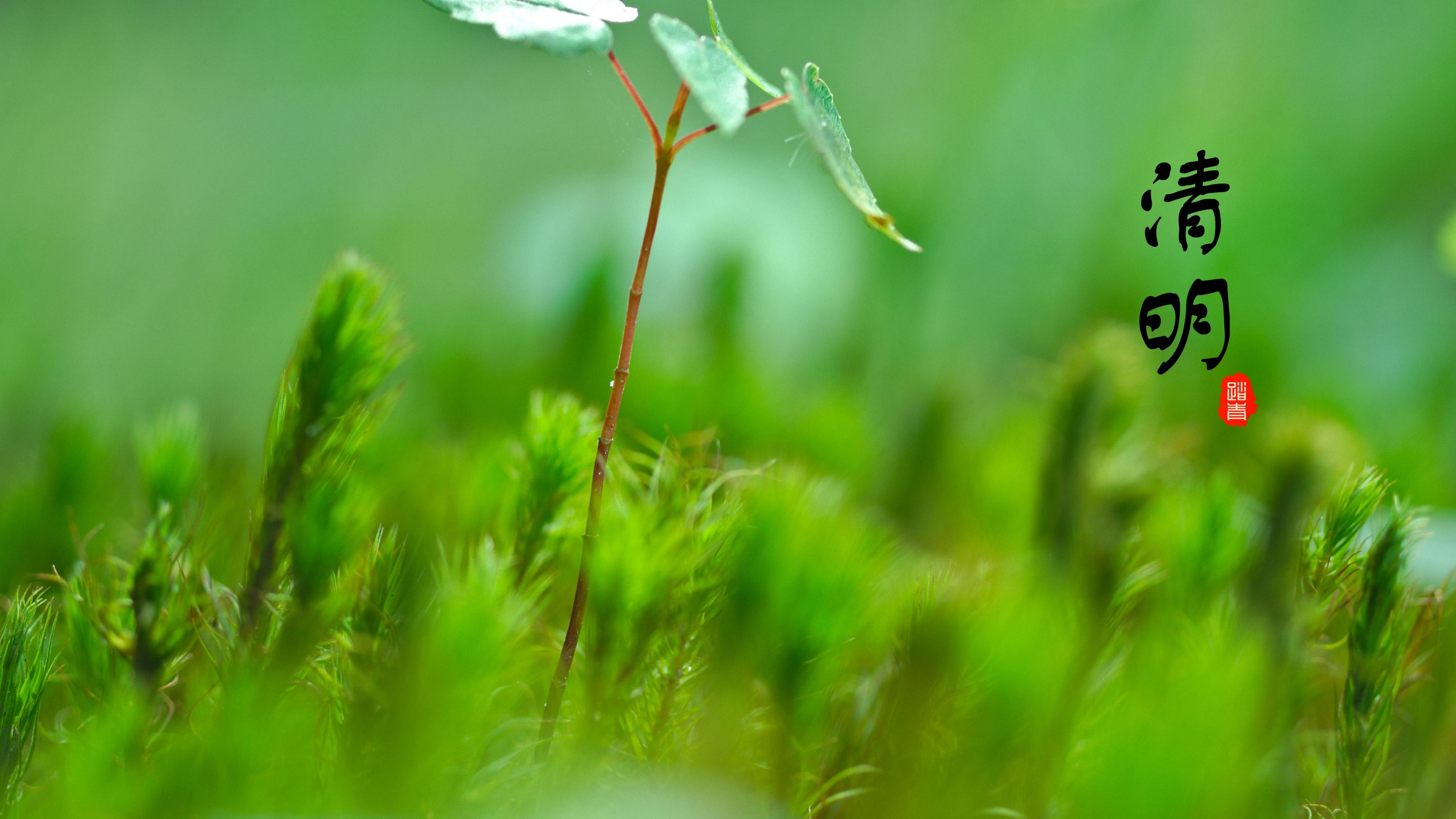 清明节扫墓时间有什么讲究 清明节扫墓可以提前多少天