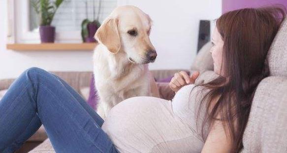 准妈妈在孕期长期玩电子设备会有什么影响 孕妇长期在孕期玩电子设备会有哪些影响