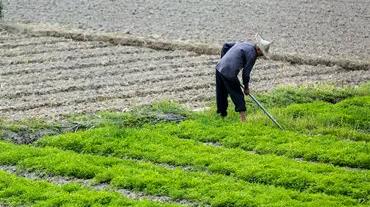 承包多少亩地才有国家的补贴 农村土地承包补贴怎么申请