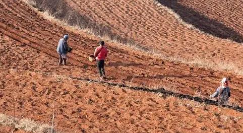 承包多少亩地才有国家的补贴 农村土地承包补贴怎么申请