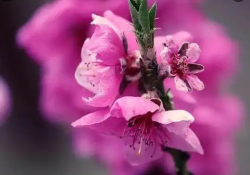 四月第一天励志语 四月第一天上班的心情说说朋友圈