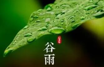 2022年谷雨是几月几号几点几分 谷雨节气的风俗活动有哪些