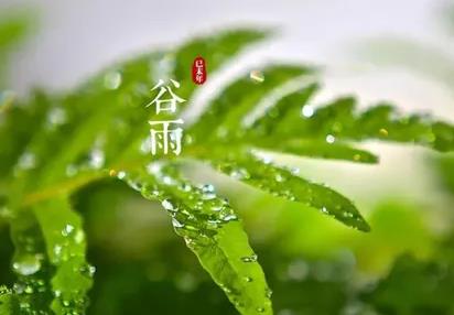 谷雨节气下雨代表什么 2022年谷雨节气会不会下雨 24节气谷雨是什么意思