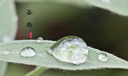 谷雨节气下雨代表什么 2022年谷雨节气会不会下雨 24节气谷雨是什么意思