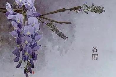 谷雨节气的到来意味着什么 谷雨节气后最适合种什么蔬菜