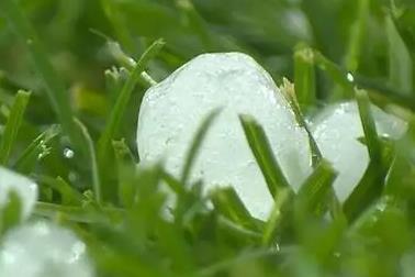 四川安岳突现13级狂风伴随暴雨冰雹 四川安岳突现狂风暴雨和鸽子蛋大小冰雹