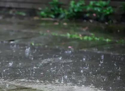 上海遭遇大风暴雨有方舱严重漏雨 上海疫情最新消息