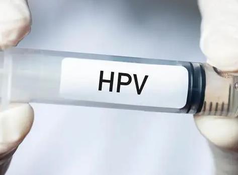 女子预约HPV疫苗陷入杀鱼盘骗局 2022年hpv疫苗每月几号开始预约