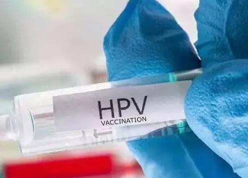 智飞生物回应HPV疫苗只需打一针 2022年hpv疫苗免费接种地区