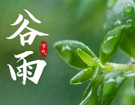 谷雨节气下一个节气是什么2022 谷雨是哪一个季节的节气