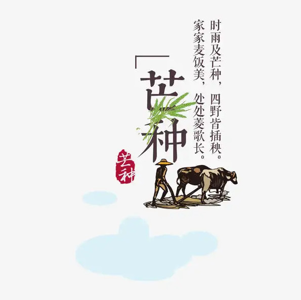 2022年芒种出生的虎宝宝 2022年芒种出生的宝宝好吗