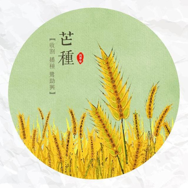 2022年芒种结婚好吗 2022年芒种领证好吗